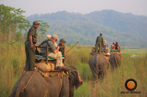 Elephant Safari at Chitwan 2