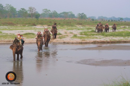 Elephant Safari at Chitwan 4