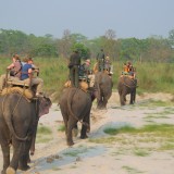 Elephant-Safari-at-Chitwan